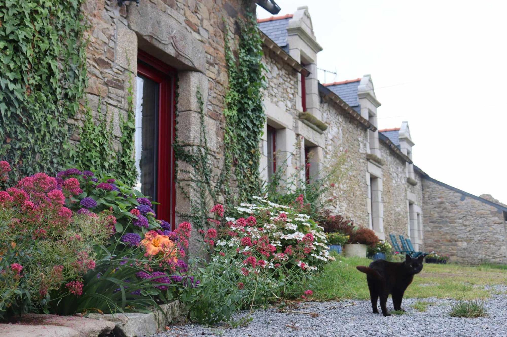 Bed and Breakfast La Petite Berais Missillac Экстерьер фото